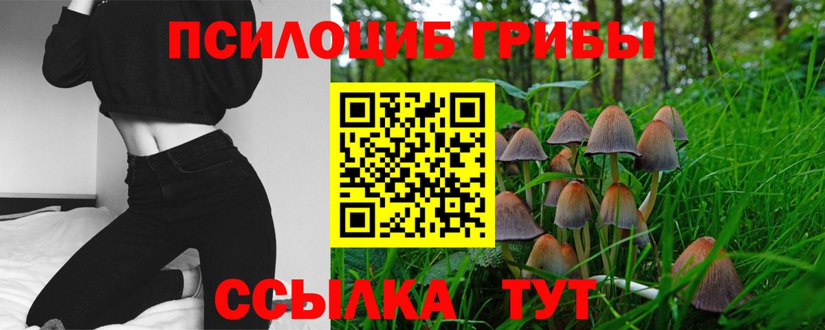 Галлюциногенные грибы мухоморы  наркошоп  Муром  Вход с VPN 