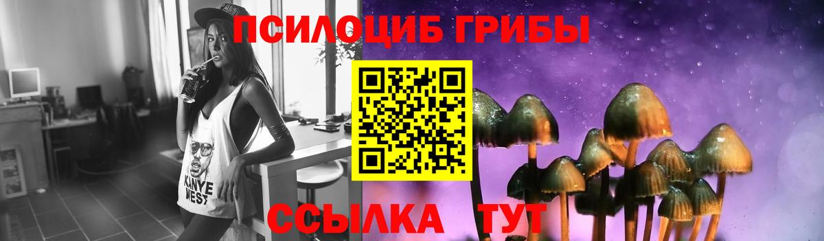 Псилоцибиновые грибы Psilocybine cubensis Муром